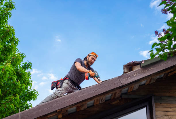 Best Roof Maintenance and Cleaning  in Quantico Base, VA