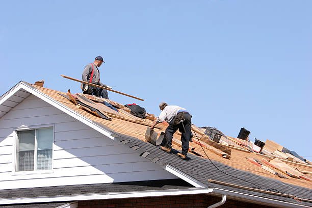 Best Roof Insulation Installation  in Quantico Base, VA